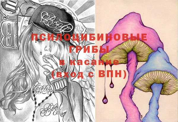 сатива Алексеевка