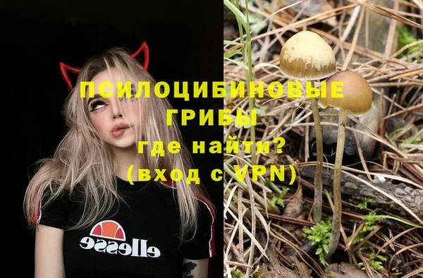 прущие крисы Лихославль