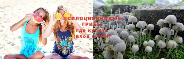 сатива Алексеевка